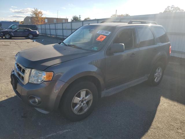 Global Auto Auctions: 2010 FORD ESCAPE XLT
