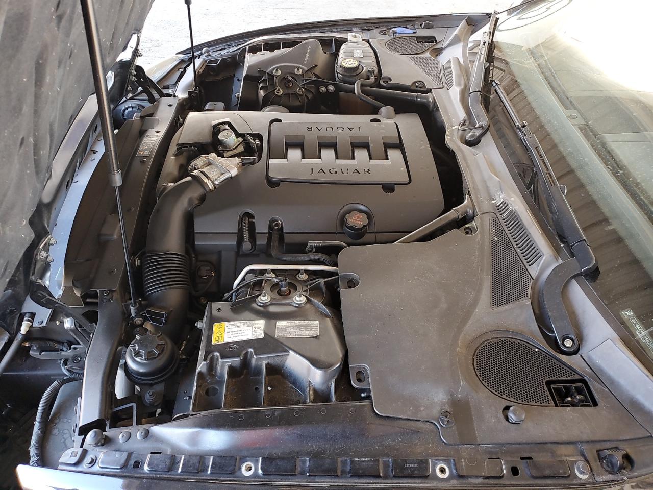 Lot #3302030156 2009 JAGUAR XK