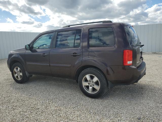 2011 HONDA PILOT EXL - 5FNYF3H50BB015735