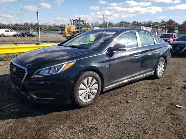 Global Auto Auctions: 2016 HYUNDAI SONATA HYB
