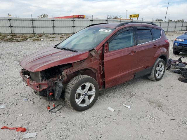 Global Auto Auctions: 2014 FORD ESCAPE SE