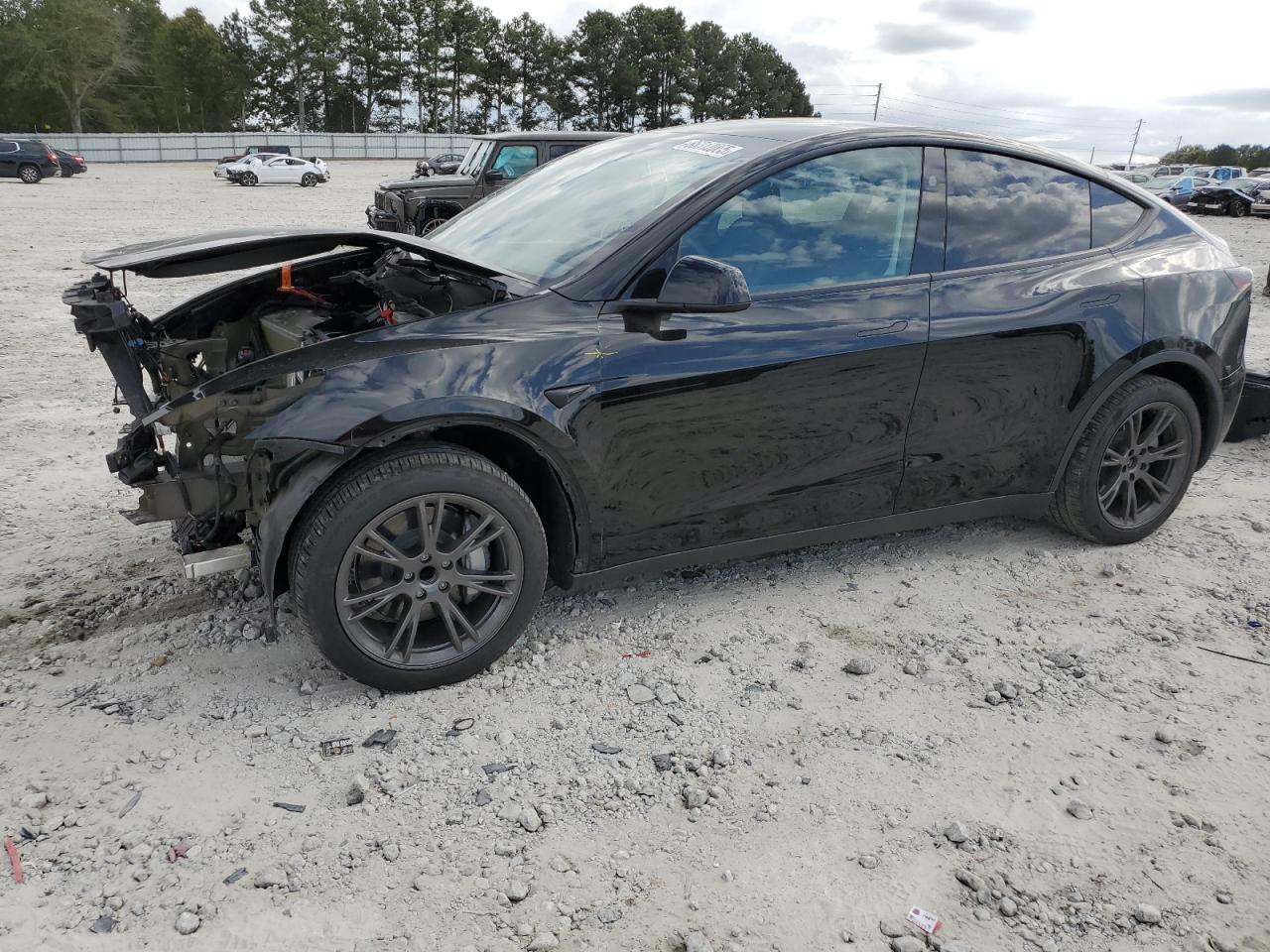 Lot #3302706027 2025 TESLA MODEL Y