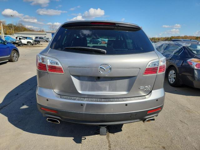 2010 MAZDA CX-9 - JM3TB3MV1A0208010