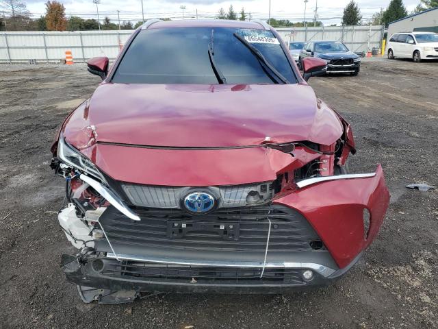 2023 TOYOTA VENZA LE #3301801378