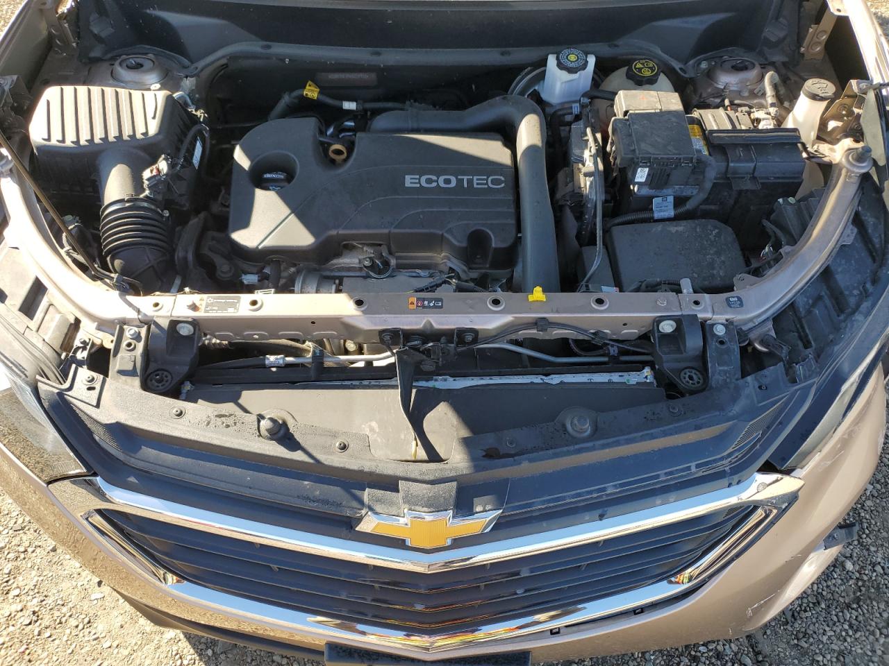 CHEVROLET EQUINOX LS