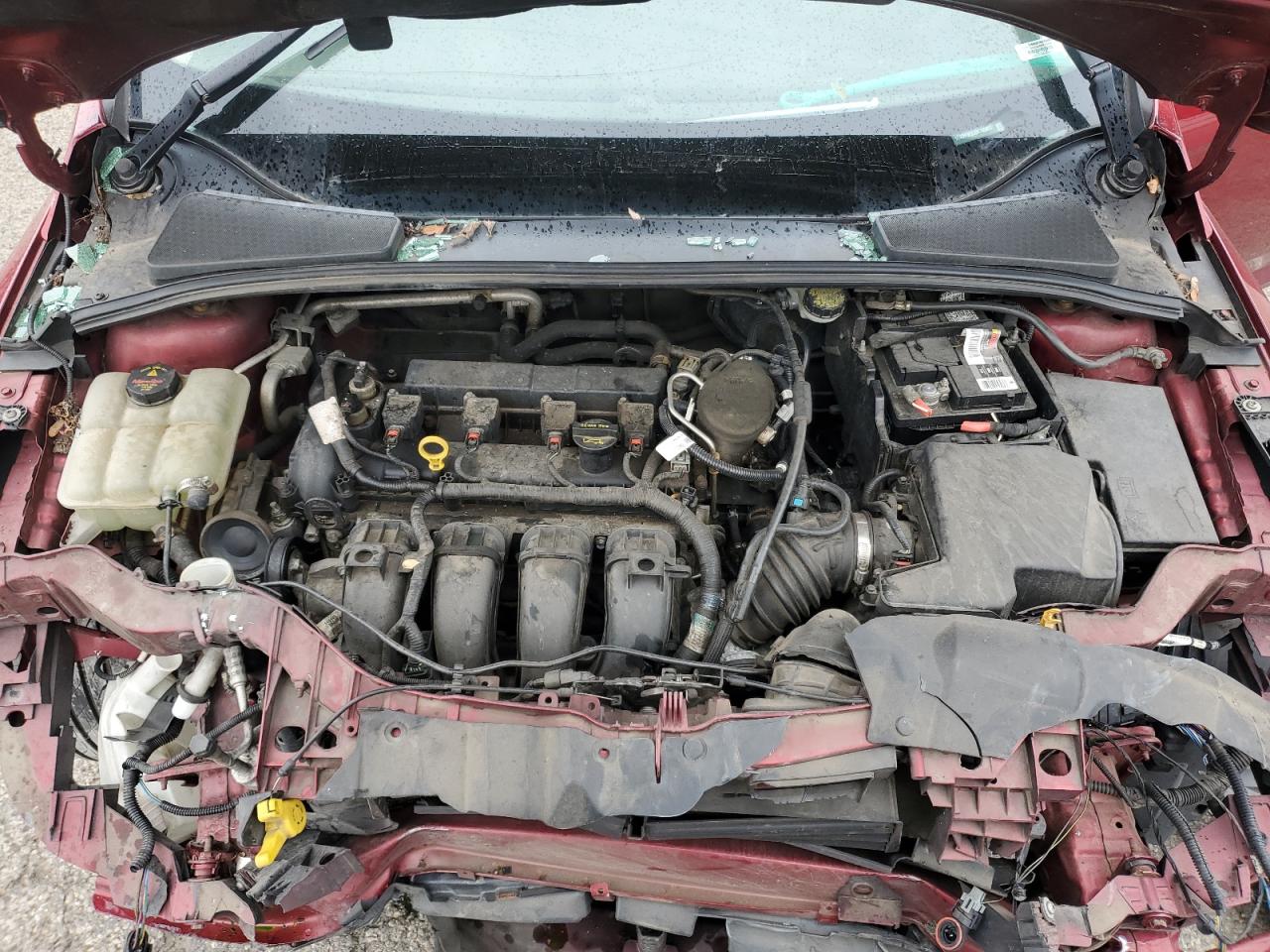 Lot #3310414966 2013 FORD FOCUS SE