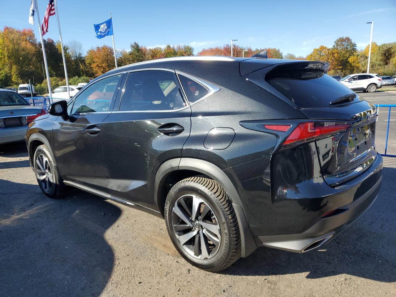 LEXUS NX 300
