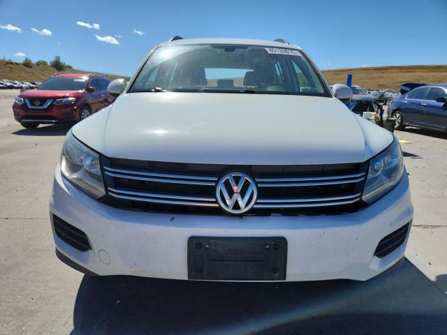 2016 VOLKSWAGEN TIGUAN S WVGBV7AX8GW600556