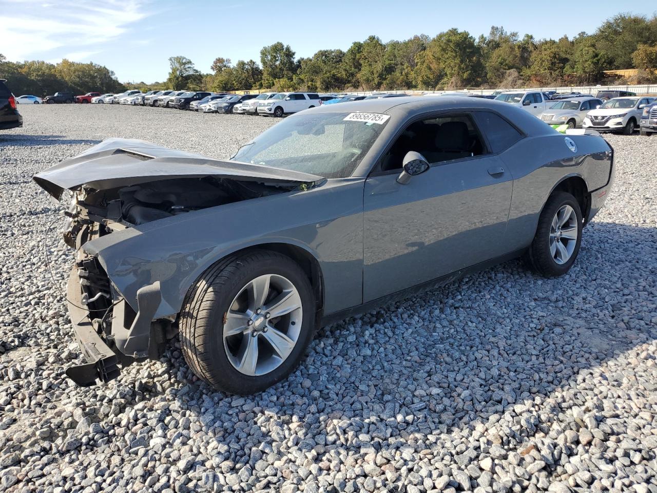 Lot #3302743070 2019 DODGE CHALLENGER