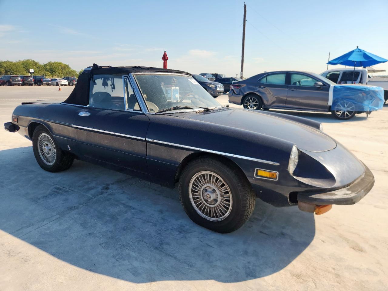 Lot #3261164938 1977 ALFA ROMEO SPIDER
