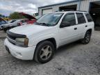 Lot #3315799349 2006 CHEVROLET TRAILBLAZE