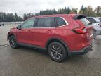 Lot #3301909448 2026 HONDA CR-V EXL