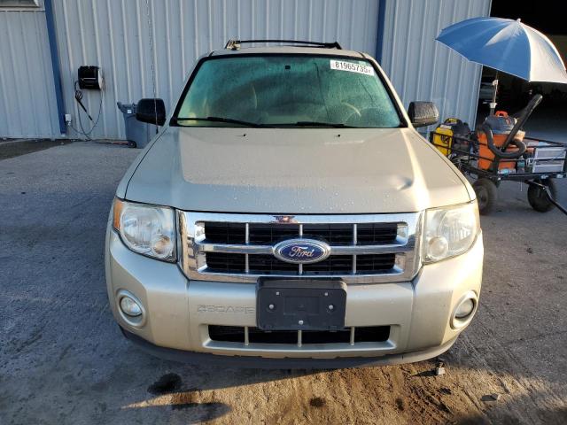 2011 FORD ESCAPE XLT - 1FMCU9D79BKB44744