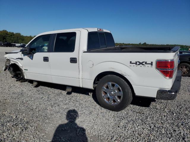 2014 FORD F150 SUPER - 1FTFW1ET2EKD19574