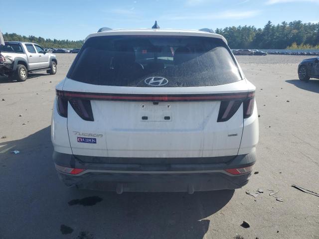 2023 HYUNDAI TUCSON SEL - 5NMJBCAE5PH240553