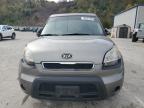 Lot #3293497413 2011 KIA SOUL +