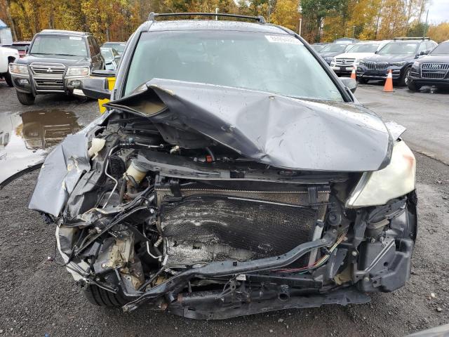 2010 HONDA CR-V EX - 5J6RE4H55AL041590