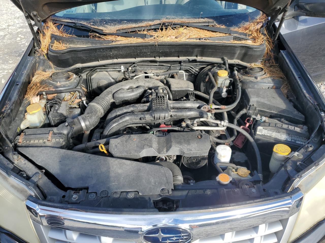 SUBARU FORESTER 2.5X