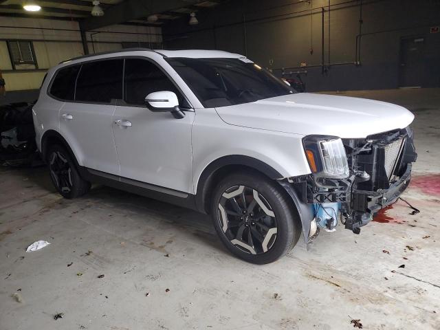 2024 KIA TELLURIDE - 5XYP3DGC2RG461186