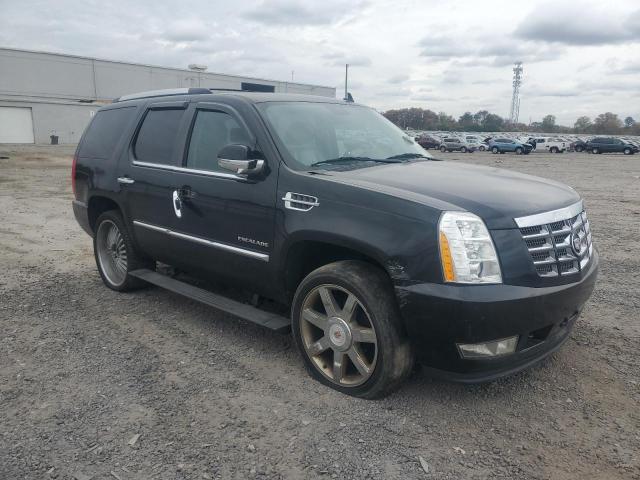 2010 CADILLAC ESCALADE P - 1GYUKCEF5AR240758