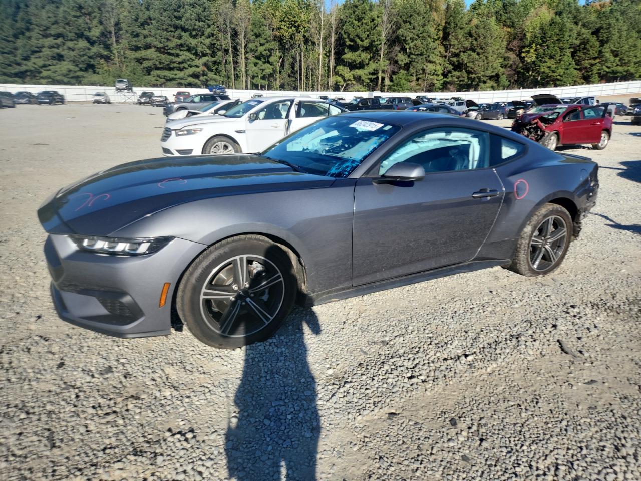 Lot #3296324405 2024 FORD MUSTANG