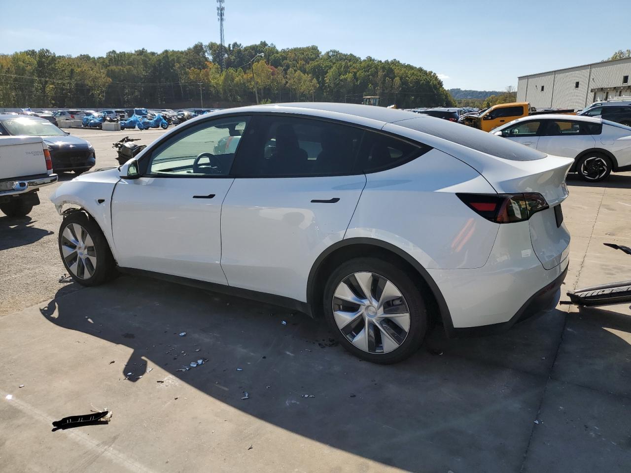 Lot #3315970133 2023 TESLA MODEL Y