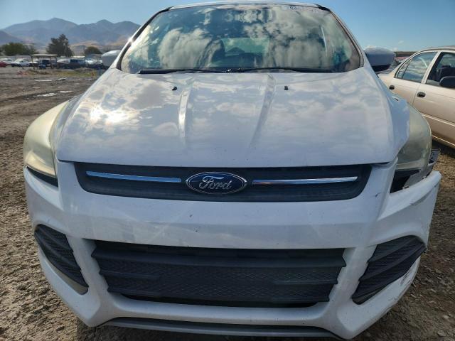 2013 FORD ESCAPE SE - 1FMCU0GX0DUD87759