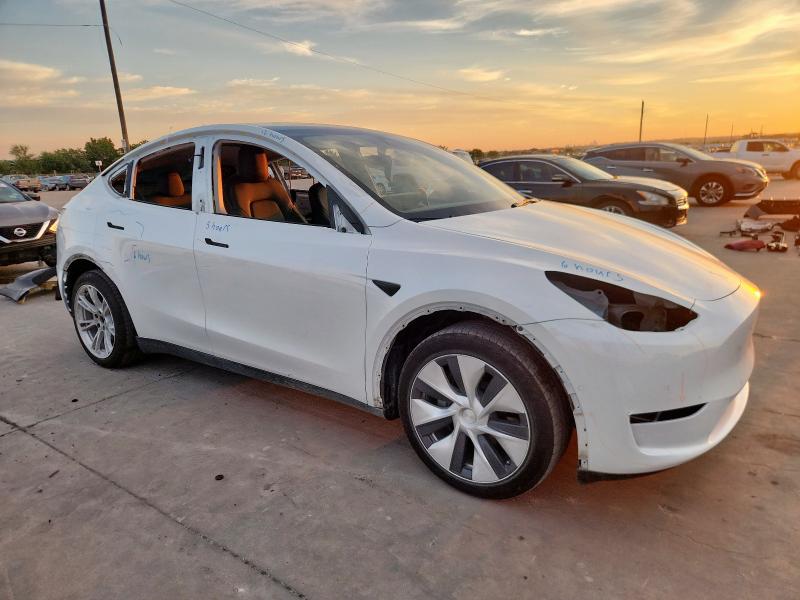 2021 TESLA MODEL Y #3285688660