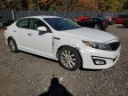 Lot #3315730343 2014 KIA OPTIMA EX