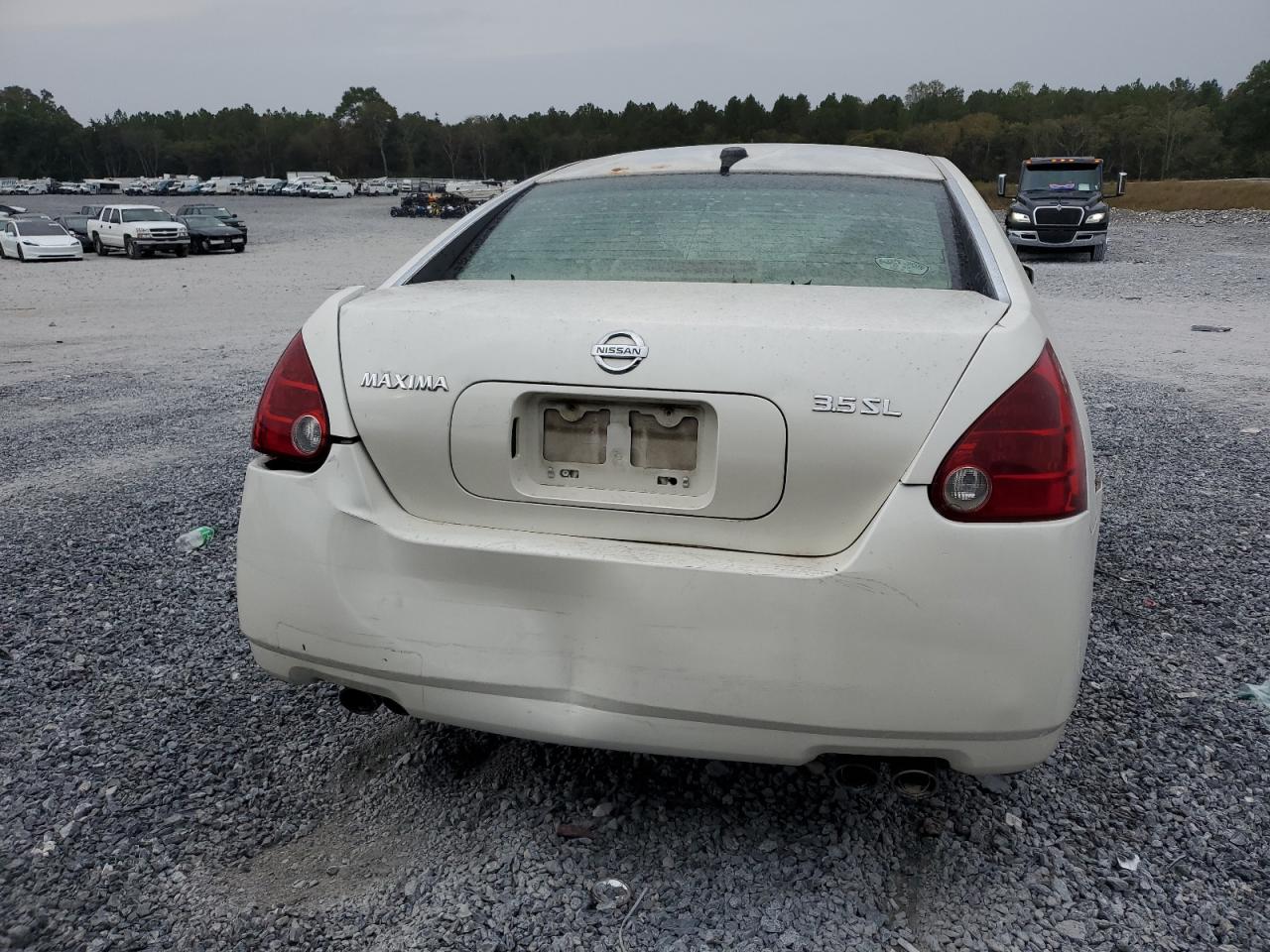 Lot #3284844563 2005 NISSAN MAXIMA SE