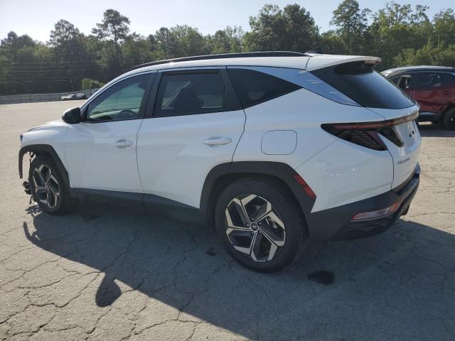 2024 HYUNDAI TUCSON SEL #3292352282