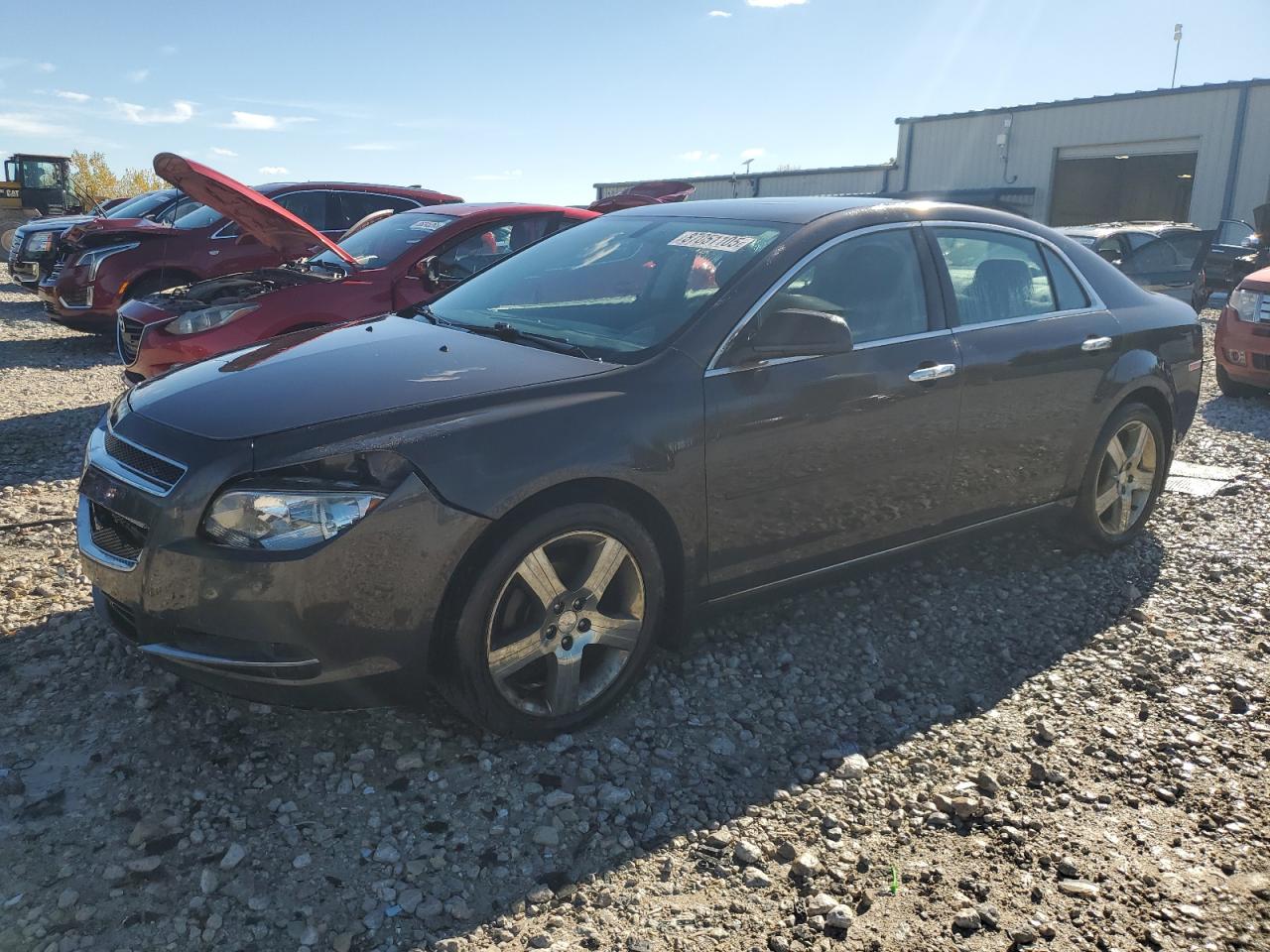CHEVROLET MALIBU 1LT