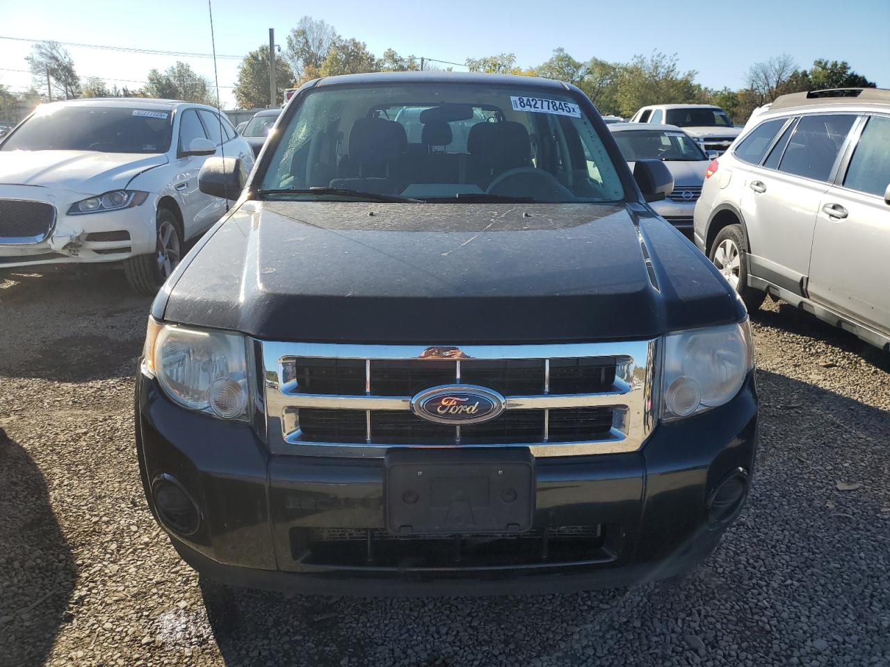 Lot #3317758070 2011 FORD ESCAPE XLS