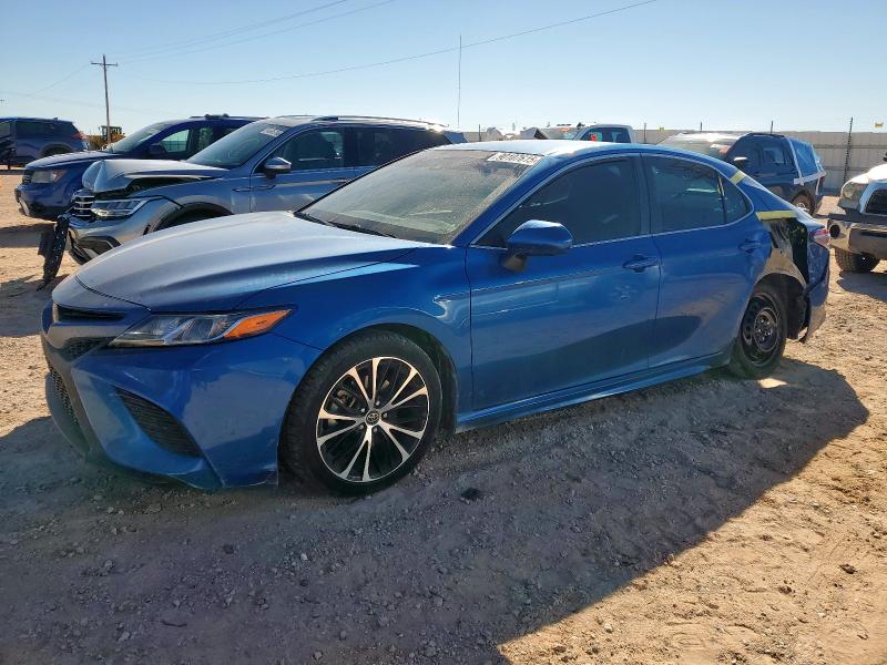 Global Auto Auctions: 2019 TOYOTA CAMRY L