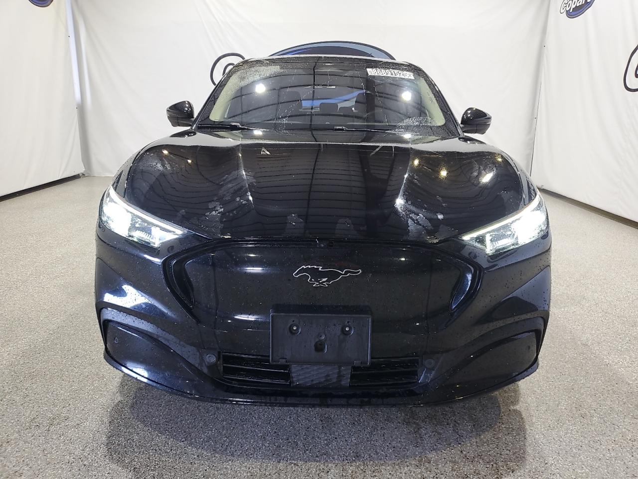 FORD MUSTANG PREMIUM