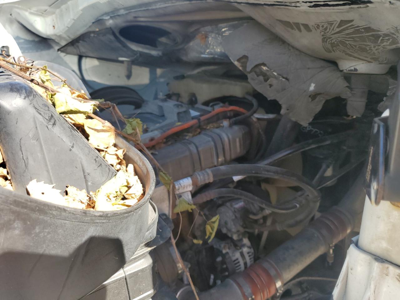 Lot #3270714862 2015 FREIGHTLINER CASCADIA