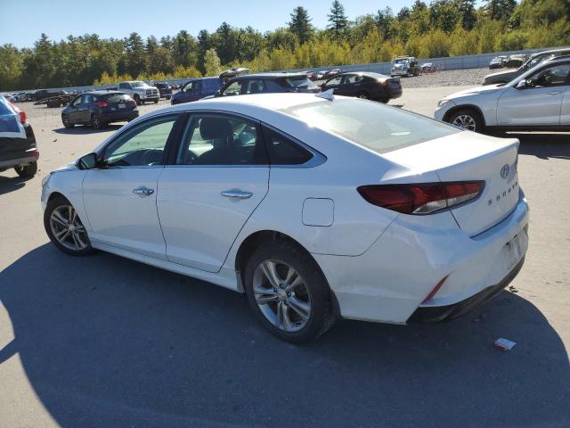 2019 HYUNDAI SONATA LIMITED - 5NPE34AF1KH781494