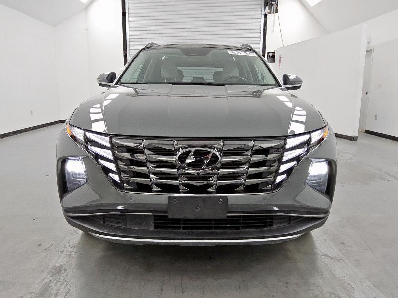 2024 HYUNDAI TUCSON LIM - 5NMJECDE8RH361440