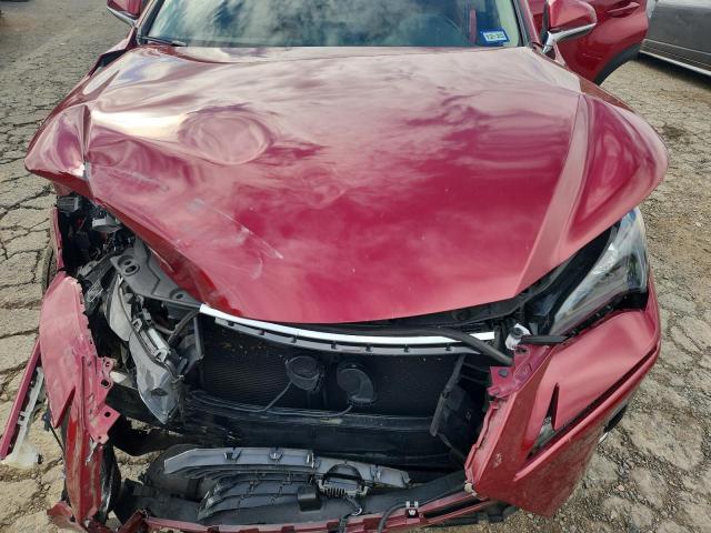 2020 LEXUS NX 300 BAS #3301793338