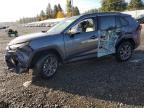 Lot #3303758416 2023 TOYOTA RAV4 XLE P