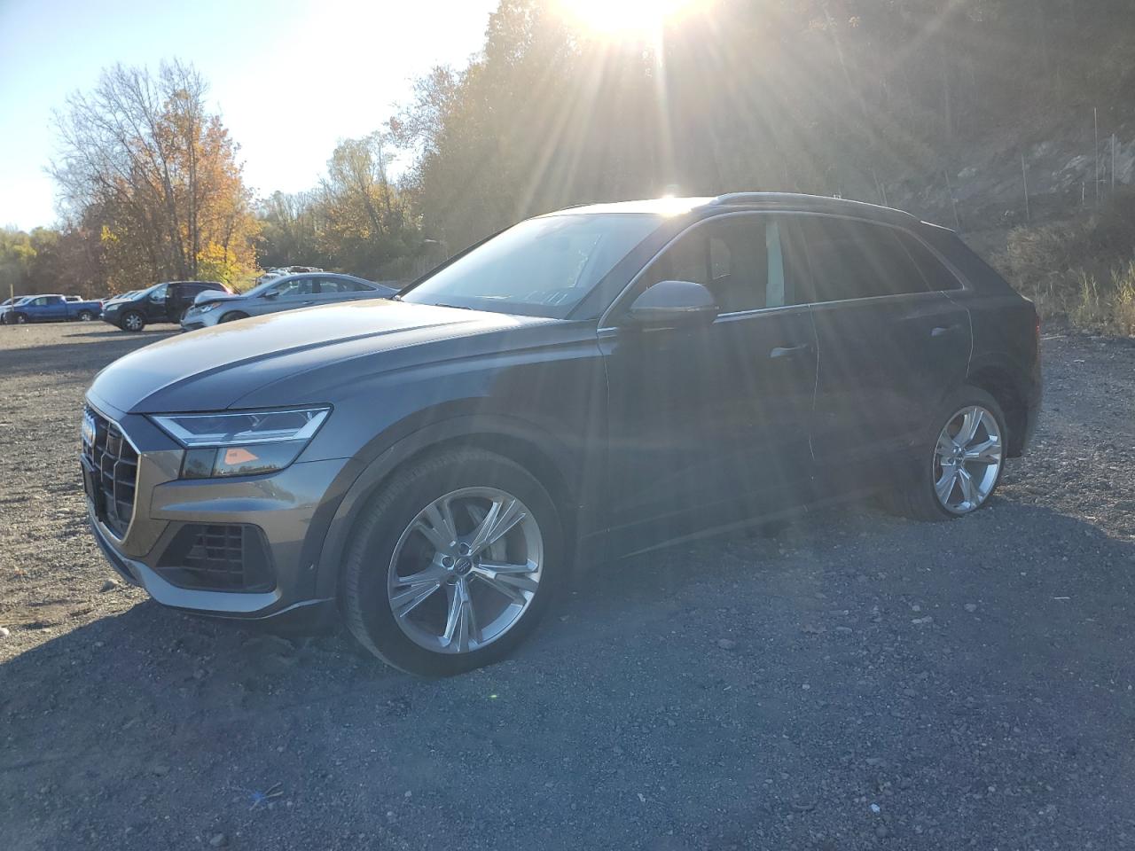 AUDI Q8 PREMIUM PLUS