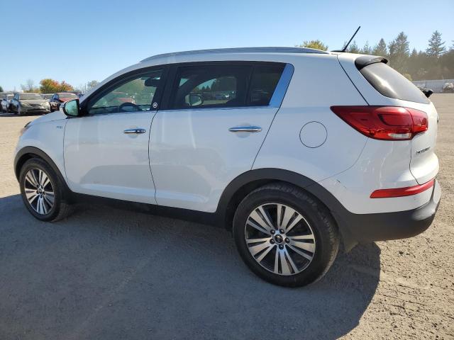 2016 KIA SPORTAGE E - KNDPCCAC4G7818588