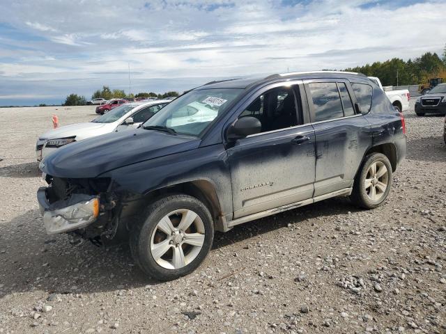 2011 JEEP COMPASS SP - 1J4NT1FB9BD178460