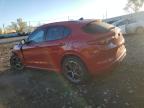Lot #3309347020 2022 ALFA ROMEO STELVIO TI