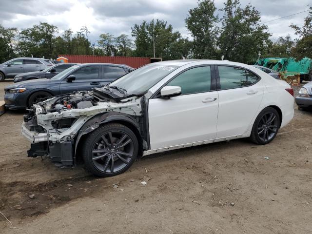 Global Auto Auctions: 2019 ACURA TLX TECHNO