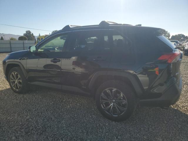 2024 TOYOTA RAV4 XLE PREMIUM - JTMB6RFV7RD146285