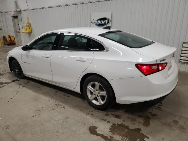 2023 CHEVROLET MALIBU LS - 1G1ZC5ST3PF151949