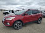 Top Destinations for Shipping Cars from the USA