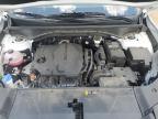 Lot #3303898705 2025 KIA SORENTO LX