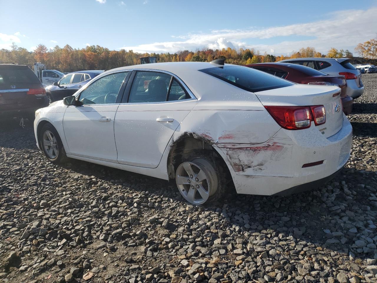 Lot #3302722019 2015 CHEVROLET MALIBU LS